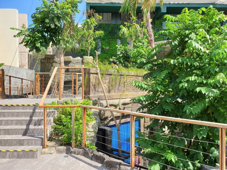 セブ・オーシャンパーク（Cebu Ocean Park）ジャングルトレック