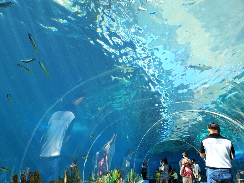 セブ・オーシャンパーク（Cebu Ocean Park）360Acrylic