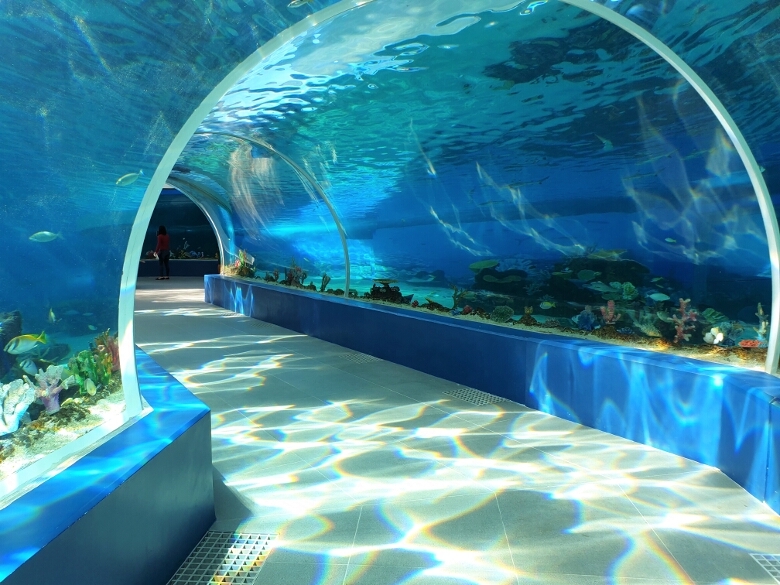 セブ・オーシャンパーク（Cebu Ocean Park）360Acrylic
